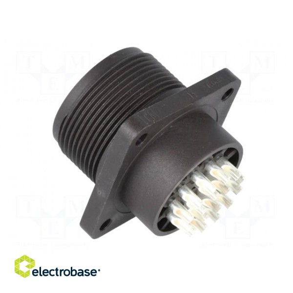 Connector: circular | socket | Series: CM | IP67 | PIN: 17 | male | 4A | 50V image 4