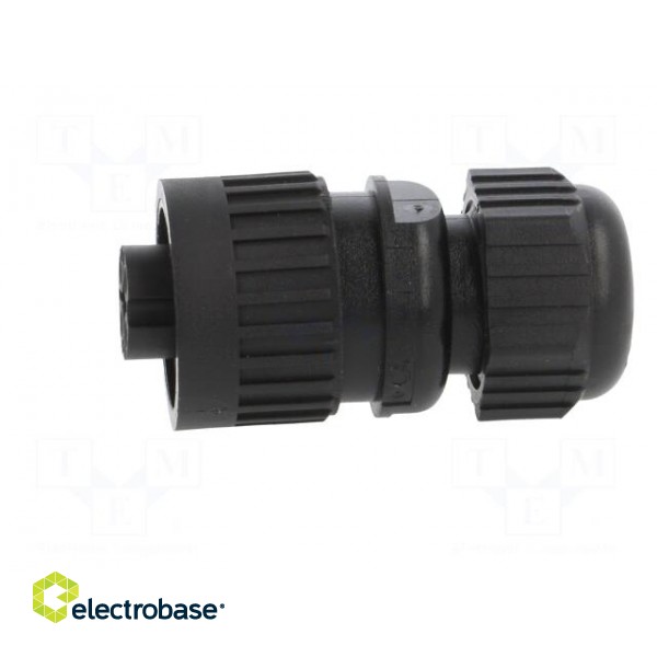 Connector: circular | female | IP67 | CA | for cable | straight paveikslėlis 3