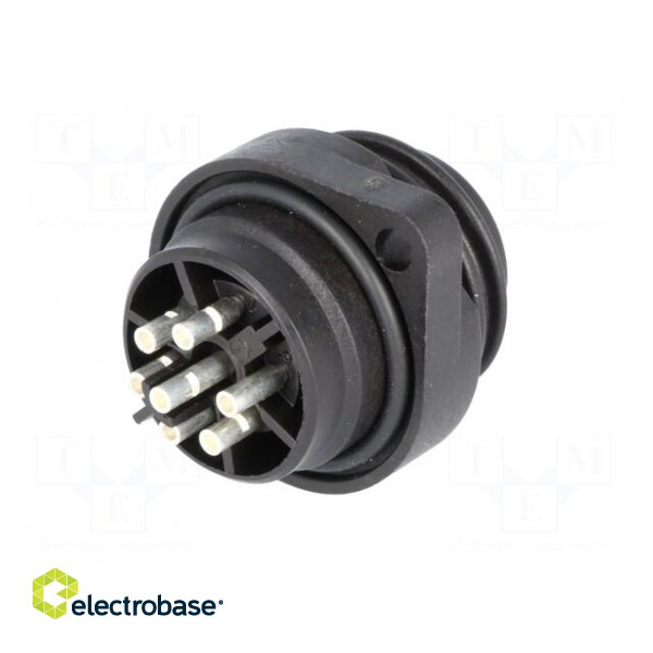 Connector: circular | socket | male | IP67 | CA | PIN: 7(6+1) | 6+PE | 250V image 6