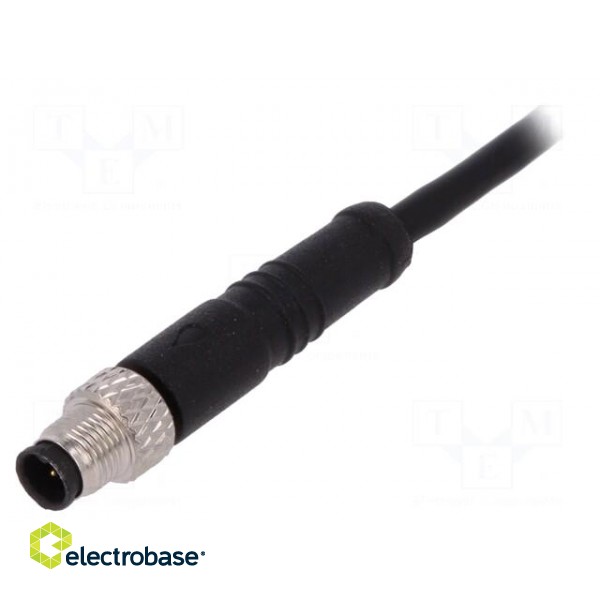 Connector: M5 | plug | male | cables | PIN: 4 | 1A | straight | IP67 | 60V