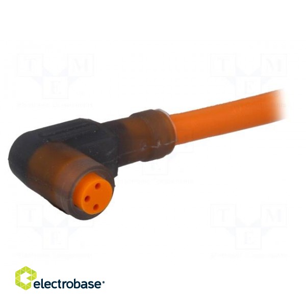 Connector: M8 | 2m | female | PIN: 3 | angled 90° | plug | PVC