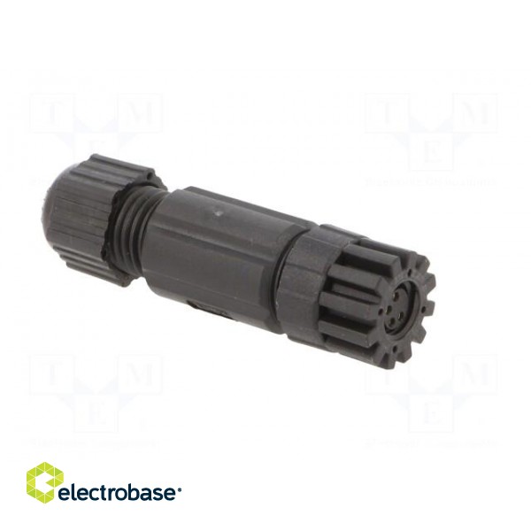 Connector: M8 | female | PIN: 4 | straight | for cable | plug | IP67 paveikslėlis 8