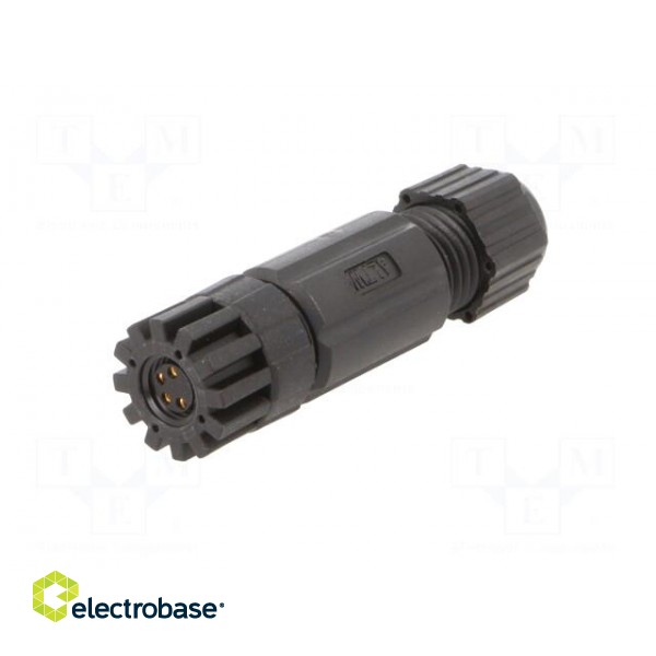 Connector: M8 | female | PIN: 4 | straight | for cable | plug | IP67 image 2