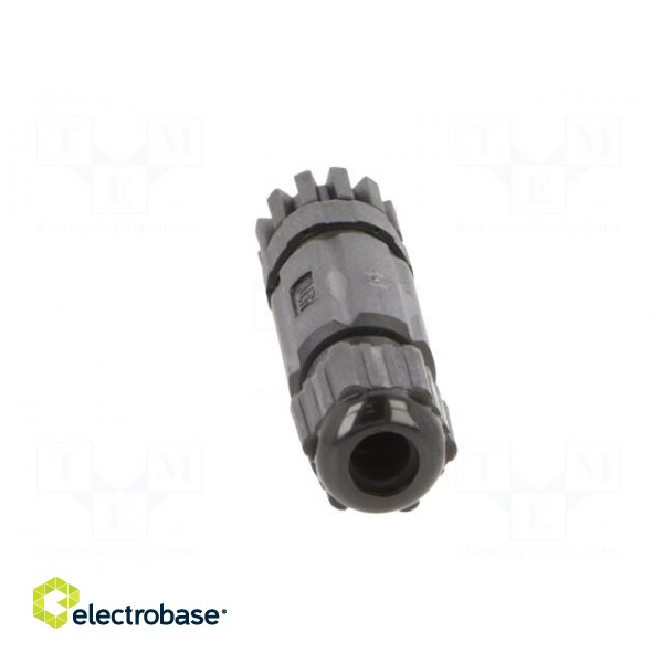 Connector: M8 | female | PIN: 4 | straight | for cable | plug | IP67 image 5