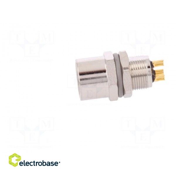 Connector: M8 | female | PIN: 4 | for panel mounting,rear side nut paveikslėlis 3