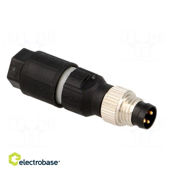 Connector: M8 | male | PIN: 3 | straight | for cable | plug | 4A | IP65/IP67 paveikslėlis 8