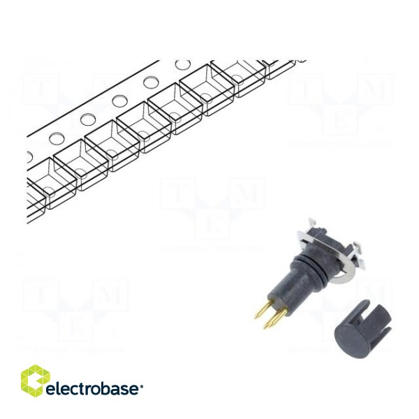 Connector: M8 | male | PIN: 3 | vertical | on PCBs | socket | 3A | IP65,IP68 paveikslėlis 1