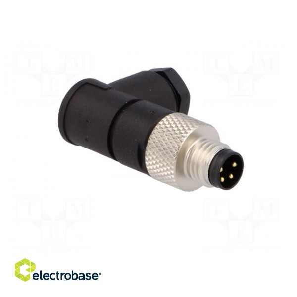 Connector: M8 | male | PIN: 4 | angled 90° | for cable | plug paveikslėlis 8