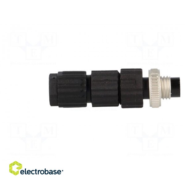 Connector: M8 | male | PIN: 4 | straight | for cable | plug | E | 4A | IP67 image 7