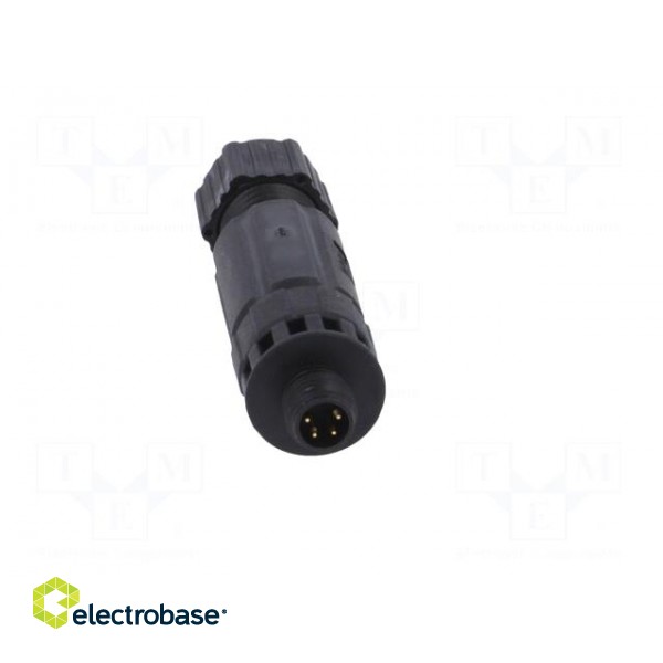 Connector: M8 | male | PIN: 4 | straight | for cable | plug | IP67 image 9