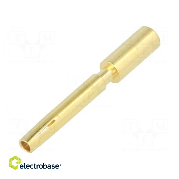 Contact | female | 1.5mm | gold-plated | 2.5mm2 | M12 Power | PE | crimped