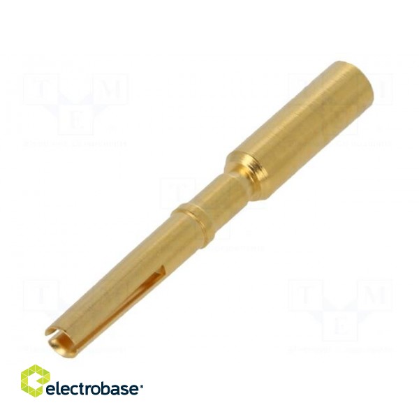 Contact | female | 1.5mm2 | gold-plated | crimped | for cable