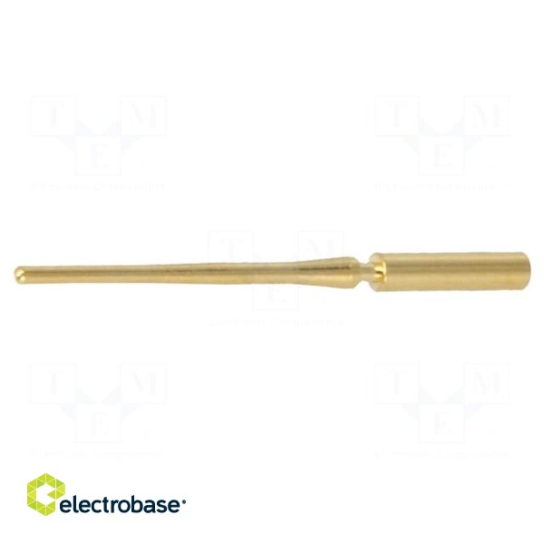 Contact | male | 0.08÷0.22mm2 | gold-plated | crimped | for cable