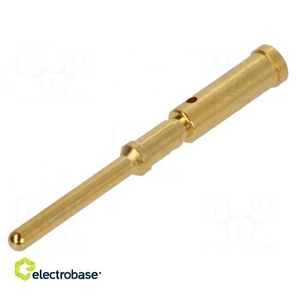 Contact | male | gold-plated | 0.75mm2 | grounding contact | crimped