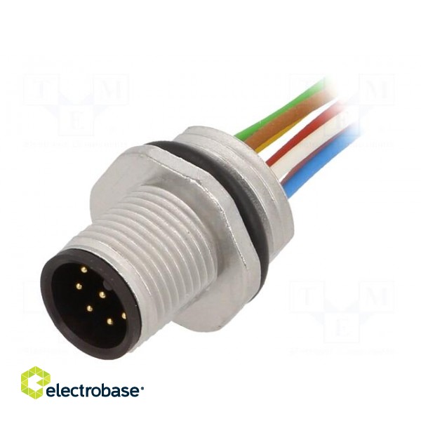 Socket | M12 | PIN: 8 | male | A code-DeviceNet / CANopen | cables | IP68
