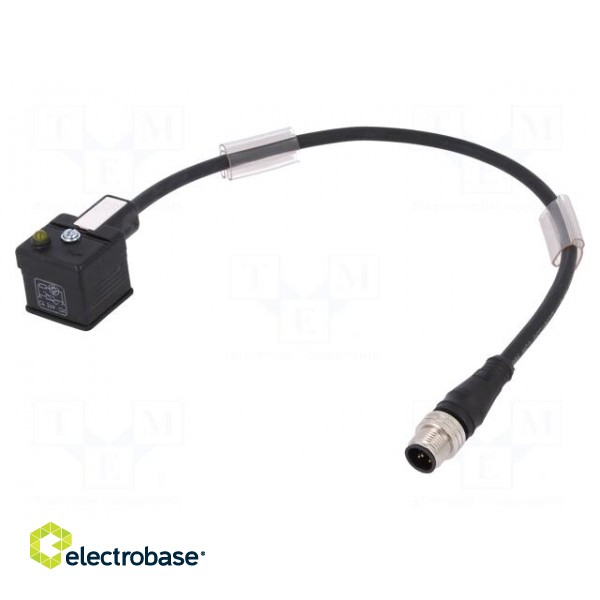 Adapter cable | M12 male,DIN 43650 plug | PIN: 3 | IP67 | 0.3m | 3A