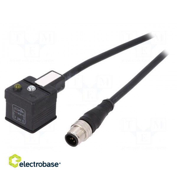 Adapter cable | DIN 43650 plug,M12 male | PIN: 3 | IP67 | 1.5m | form A