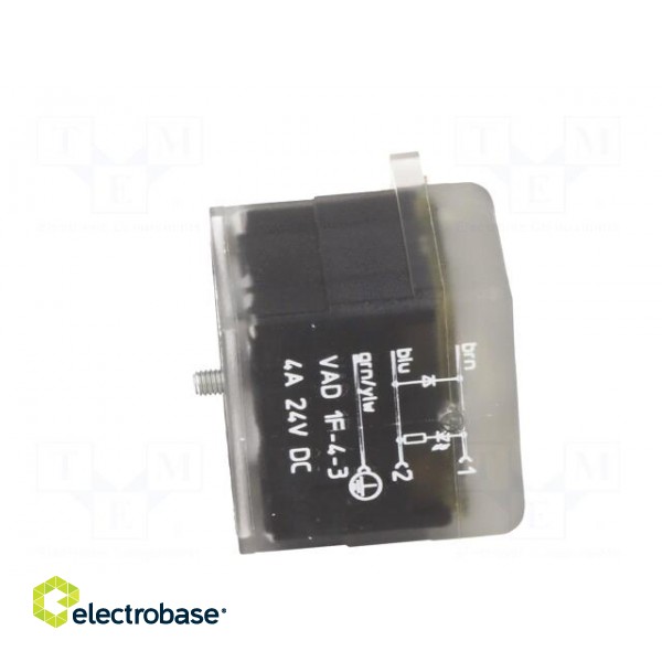 Adapter | M12 male,DIN 43650 plug | PIN: 3 | angled 90° | Case: form A image 5