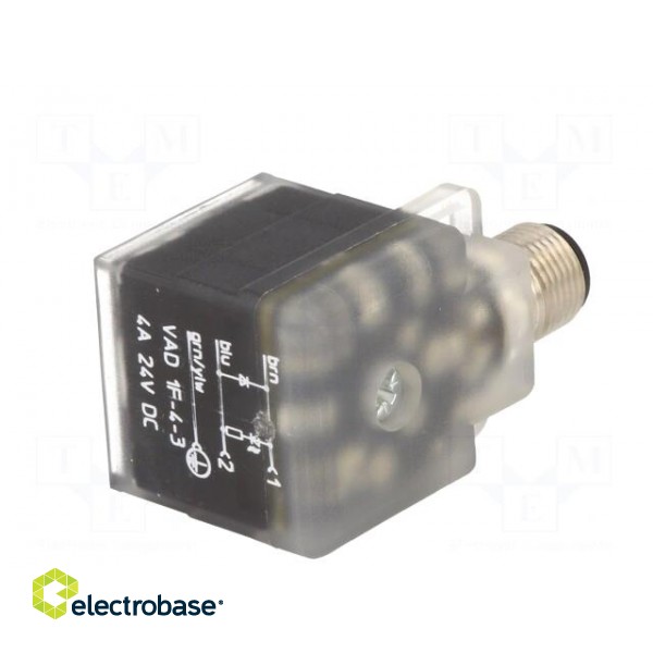 Adapter | M12 male,DIN 43650 plug | PIN: 3 | angled 90° | Case: form A paveikslėlis 6