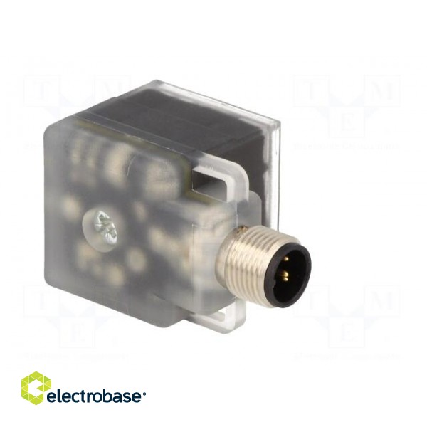 Adapter | M12 male,DIN 43650 plug | PIN: 3 | angled 90° | Case: form A image 8