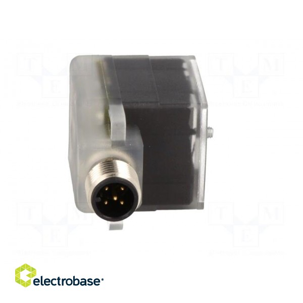 Adapter | M12 male,DIN 43650 plug | PIN: 3 | angled 90° | Case: form A paveikslėlis 9