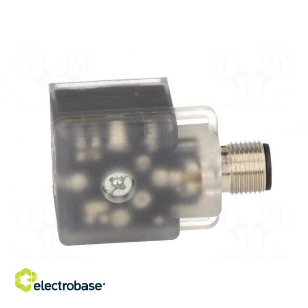 Adapter | M12 male,DIN 43650 plug | PIN: 3 | angled 90° | Case: form A image 7