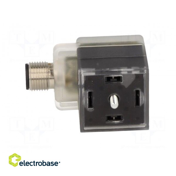 Adapter | M12 male,DIN 43650 plug | PIN: 3 | angled 90° | Case: form A image 3