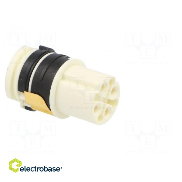 Connector: circular | contact insert | female | for cable paveikslėlis 8