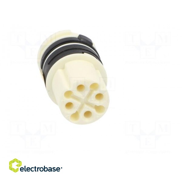 Connector: circular | contact insert | female | for cable paveikslėlis 9