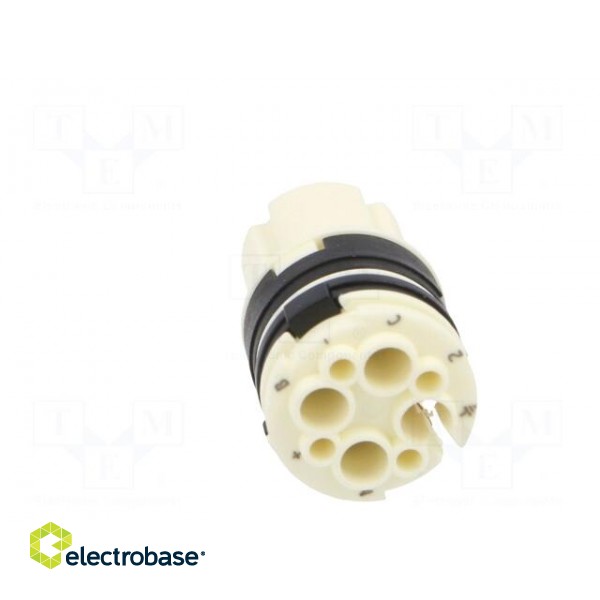 Connector: circular | contact insert | female | for cable image 5