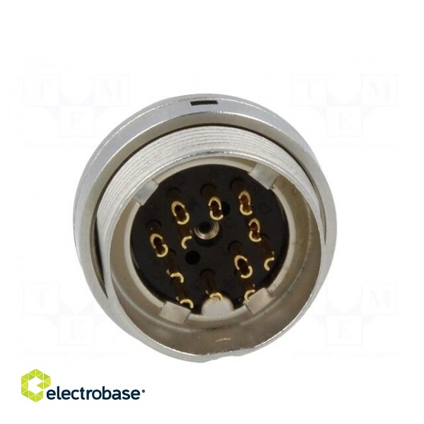 Connector: M16 | socket | male | soldering | PIN: 12 | 3A | 60V | IP68 paveikslėlis 5