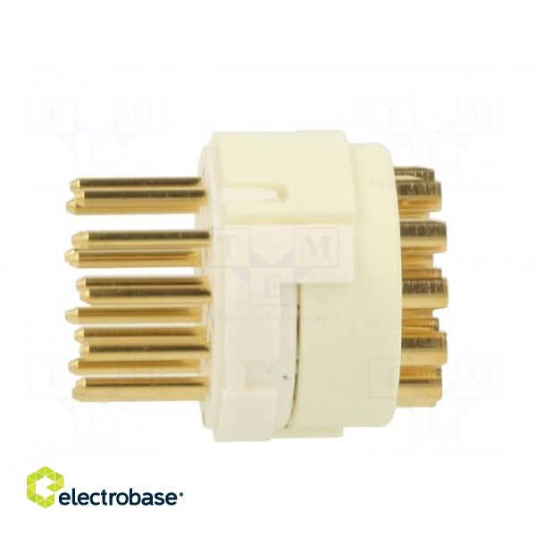 Connector: M23 | contact insert | PIN: 16 | male | soldering | for cable image 3