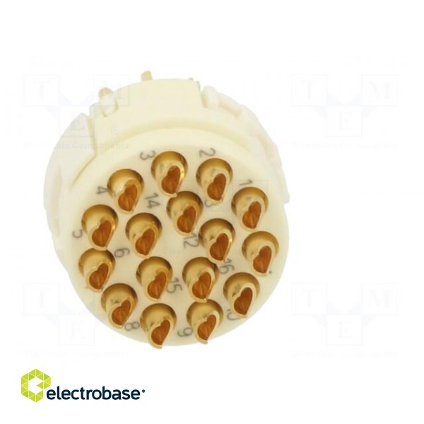 Connector: M23 | contact insert | PIN: 16 | male | soldering | for cable image 5