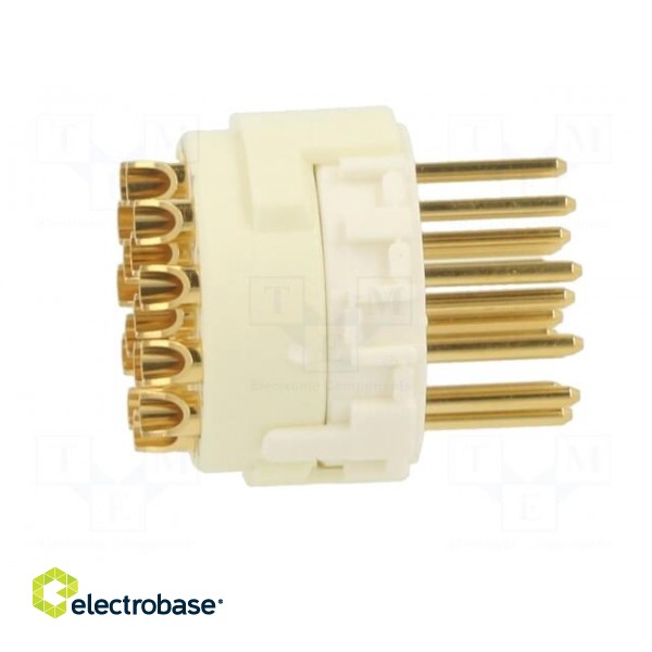 Connector: M23 | contact insert | PIN: 16 | male | soldering | for cable фото 7