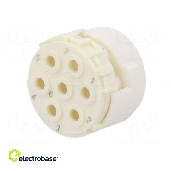 Connector: M23 | contact insert | PIN: 7 | male | for cable paveikslėlis 2