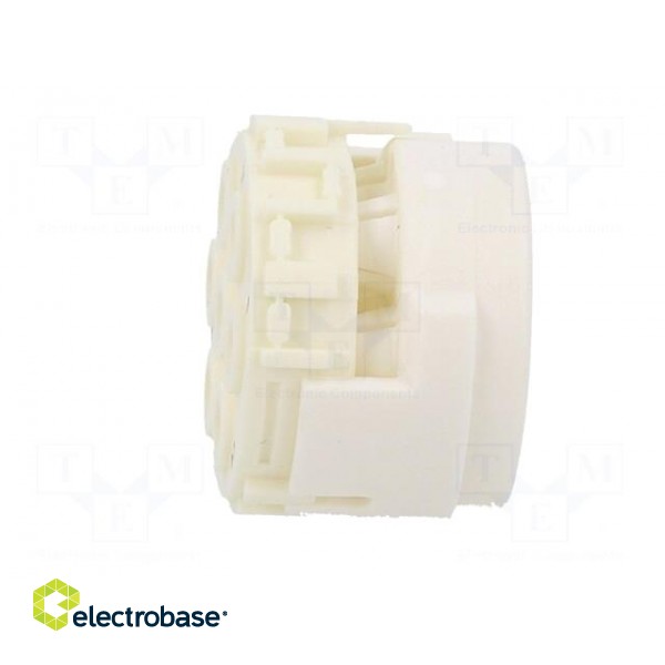 Connector: M23 | contact insert | PIN: 7 | male | for cable paveikslėlis 3