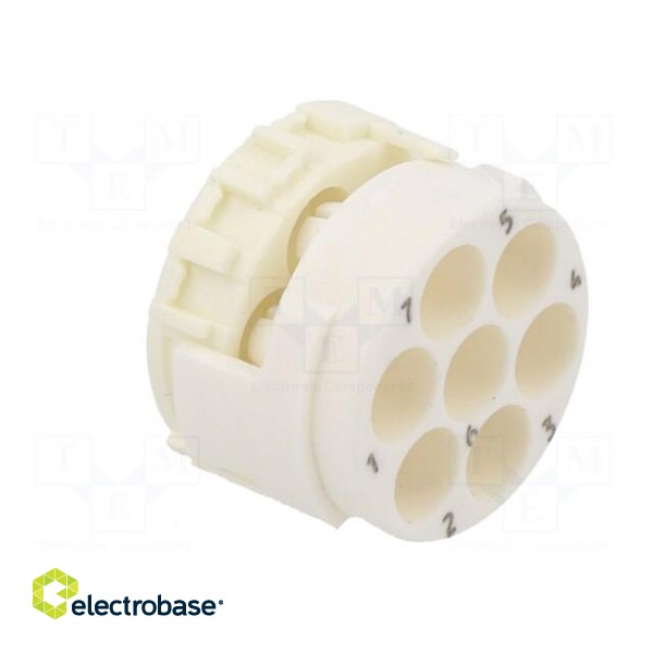 Connector: M23 | contact insert | PIN: 7 | male | for cable image 4