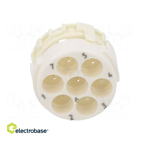 Connector: M23 | contact insert | PIN: 7 | male | for cable image 5