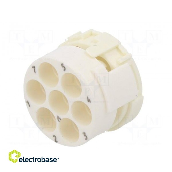 Connector: M23 | contact insert | PIN: 7 | male | for cable paveikslėlis 6