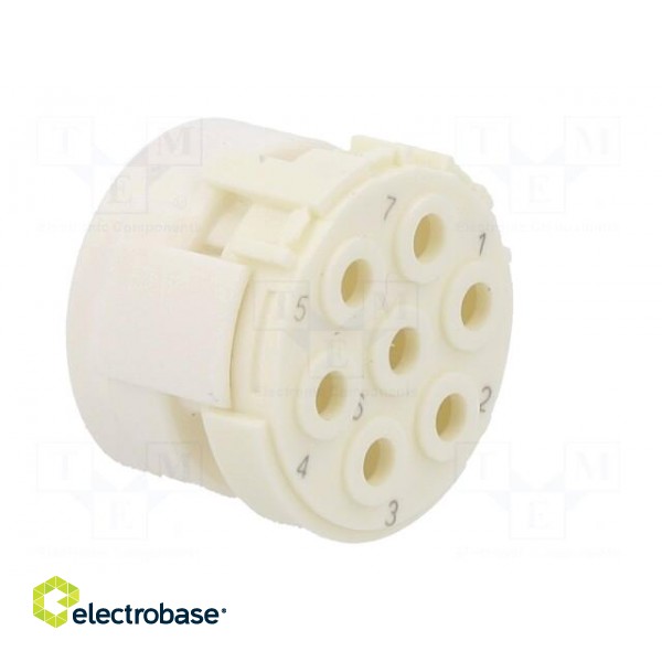 Connector: M23 | contact insert | PIN: 7 | male | for cable фото 8