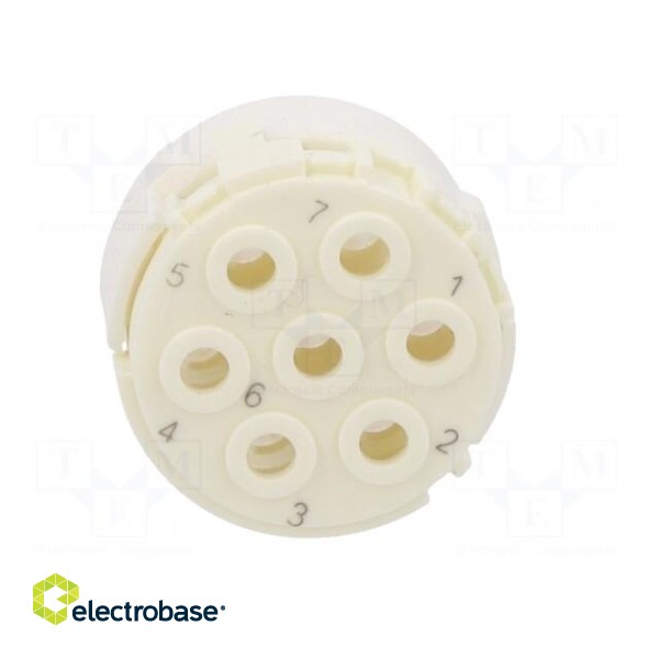 Connector: M23 | contact insert | PIN: 7 | male | for cable image 9