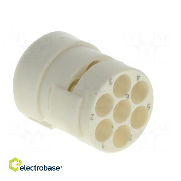 Connector: M23 | contact insert | PIN: 7 | female | for cable image 4