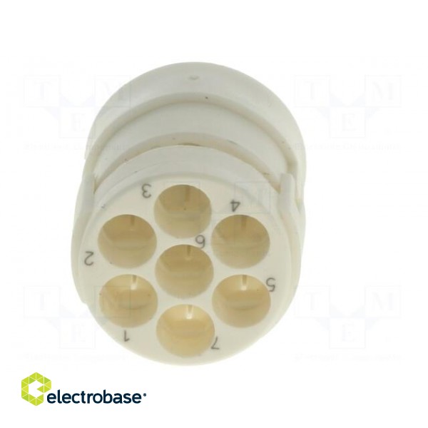 Connector: M23 | contact insert | PIN: 7 | female | for cable paveikslėlis 5