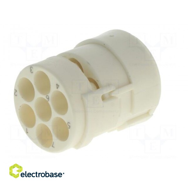 Connector: M23 | contact insert | PIN: 7 | female | for cable image 6