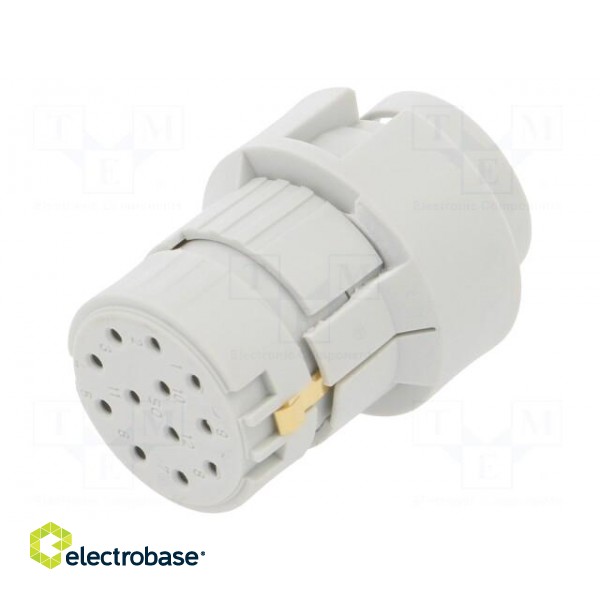 Connector: M23 | contact insert | PIN: 12 | female | crimped | 200V | 8A image 1
