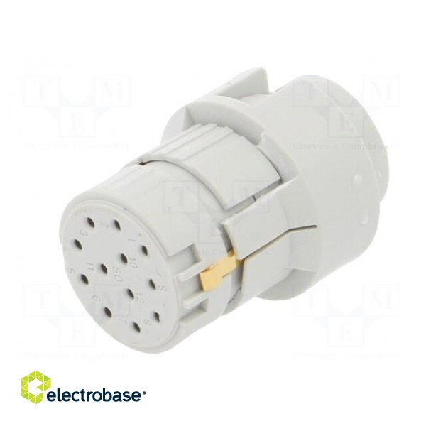 Connector: M23 | contact insert | PIN: 12 | female | crimped | 200V | 8A image 2