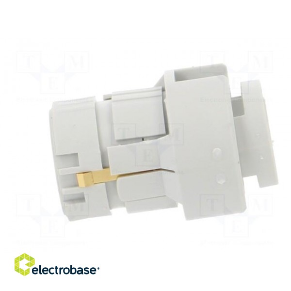 Connector: M23 | contact insert | PIN: 12 | female | crimped | 200V | 8A фото 3