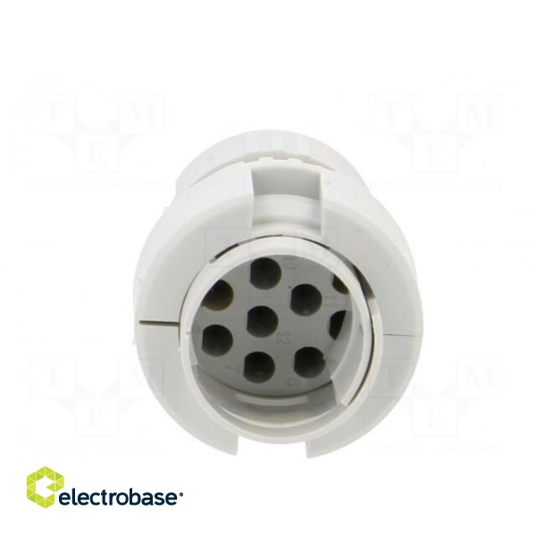 Connector: M23 | contact insert | PIN: 12 | female | crimped | 200V | 8A paveikslėlis 5