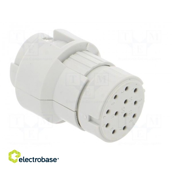 Connector: M23 | contact insert | PIN: 12 | female | crimped | 200V | 8A фото 8