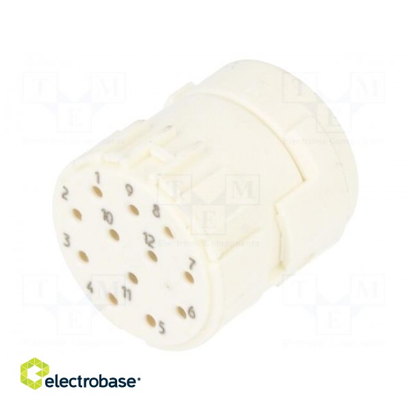 Connector: M23 | contact insert | PIN: 12 | female | for cable | 8A | 200V paveikslėlis 1